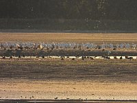 Bild: Peter Blei unterwegs am Stausee Kelbra