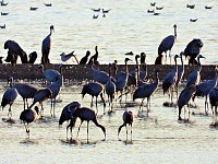 Bild: Peter Blei unterwegs am Stausee Kelbra