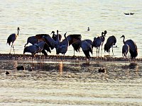 Bild: Peter Blei unterwegs am Stausee Kelbra