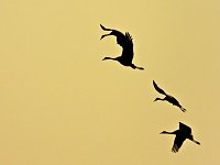 Bild: Peter Blei unterwegs am Stausee Kelbra