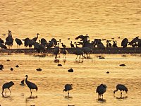Bild: Peter Blei unterwegs am Stausee Kelbra
