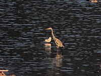Bild: Peter Blei unterwegs am Stausee Kelbra