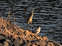 Bild: Peter Blei unterwegs am Stausee Kelbra