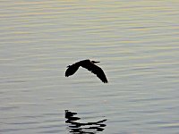 Bild: Peter Blei unterwegs am Stausee Kelbra