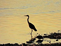 Bild: Peter Blei unterwegs am Stausee Kelbra
