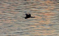 Bild: Peter Blei unterwegs am Stausee Kelbra