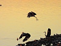 Bild: Peter Blei unterwegs am Stausee Kelbra