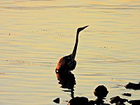 Bild: Peter Blei unterwegs am Stausee Kelbra