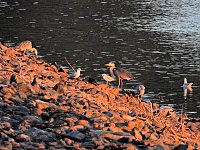 Bild: Peter Blei unterwegs am Stausee Kelbra