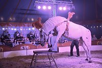 Bild: Circus Atlantik am Scheunenhof