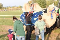 Bild: Circus Atlantik am Scheunenhof