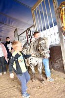 Bild: Circus Atlantik am Scheunenhof