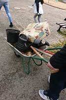 Bild: Ein Apfelbaum f&uuml;r den Spielplatz