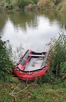 Junger Kauz in misslicher Lage Bild: Junger Kauz in misslicher Lage