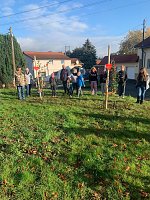 Bild: B&auml;ume gepflanzt