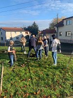 Bild: B&auml;ume gepflanzt