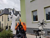 halloween im Garten Bild: halloween im Garten