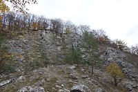 Bild: Landschaftspflegesaison im S&uuml;dharz hat begonnen