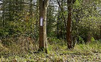 Bild: In Scharen in die Natur
