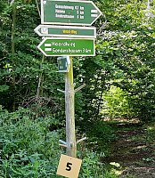 Bild: In Scharen in die Natur