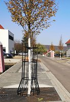 Bild: Barrierefreiheit in Sondershausen fehlt immer noch an vielen Stellen