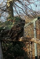 Bild: Tagesausflug zum Hexentanzplatz 