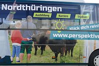 Rollender Botschafter für Nordthüringen Bild: Rollender Botschafter für Nordthüringen
