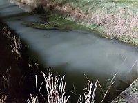 Großeinsatz wegen Gewässerverunreinigung Bild: Großeinsatz wegen Gewässerverunreinigung