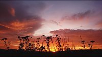 Bild: Sonnenaufgang bei Neustadt