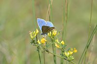 Naturvielfalt im Südharz Bild: Naturvielfalt im Südharz