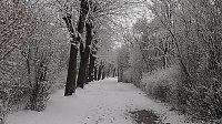 Winter unterm Kyffhäuser Bild: Winter unterm Kyffhäuser