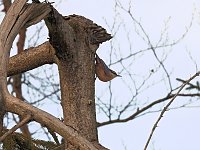 Bild: Ausflug zum Josephskreuz