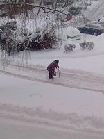 Bild: Vielen Dank f&uuml;r den Einsatz in Sondershausen