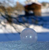 Bild: Winterzauber in der Goldenen Aue