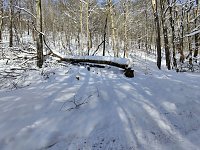 Bild: Im Brandesbachtal