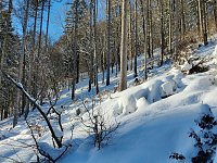 Bild: Im Brandesbachtal