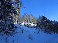 Bild: Im Brandesbachtal