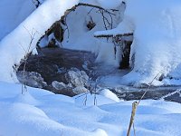 Bild: Im Brandesbachtal