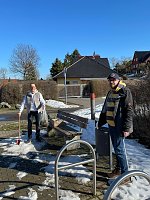 Bild: Tierexkremente werden eingesammelt