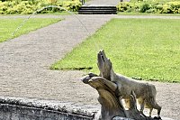 Bild: Schlosspark Ebeleben