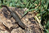 Bild: Natur pur erleben im Teichthal