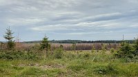 Bild: Eindr&uuml;cke aus dem Oberharz zwischen Trautenstein und Sophienhon