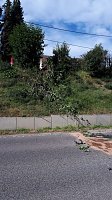 Alkoholfahrt endete in der Hecke Bild: Alkoholfahrt endete in der Hecke