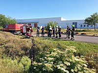 Schwierige Ausbildung abgeschlossen Bild: Schwierige Ausbildung abgeschlossen
