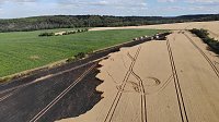 Feldbrand im Kyffhäuserkreis Bild: Feldbrand im Kyffhäuserkreis