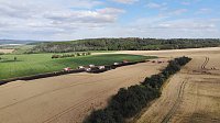 Feldbrand im Kyffhäuserkreis Bild: Feldbrand im Kyffhäuserkreis