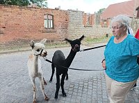 Zu Besuch bei Wilma und Co. Bild: Zu Besuch bei Wilma und Co.