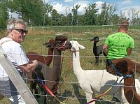 Zu Besuch bei Wilma und Co. Bild: Zu Besuch bei Wilma und Co.