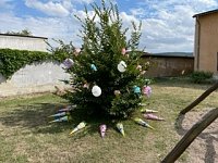 Zuckertütenfest beim Novalis Diakonieverein Bild: Zuckertütenfest beim Novalis Diakonieverein