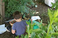 In den Kindergärten der Stadt Sondershausen gab es für die Kinder viel zu entdecken und zu erleben Bild: In den Kindergärten der Stadt Sondershausen gab es für die Kinder viel zu entdecken und zu erleben
